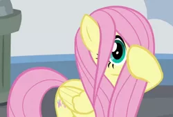 Size: 558x378 | Tagged: safe, derpibooru import, screencap, fluttershy, pegasus, pony, school daze, cropped, cute, female, hair over one eye, mare, shyabetes, solo