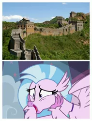 Size: 3106x4096 | Tagged: china, classical hippogriff, derpibooru import, diastreamies, great wall of china, hippogriff, safe, school daze, silverstream, that hippogriff sure does love stairs