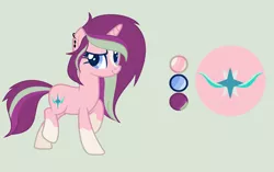 Size: 2398x1507 | Tagged: safe, artist:princessunicorn123, derpibooru import, oc, oc:starry spell, unofficial characters only, unicorn, base used, cutie mark, ear piercing, earring, female, green background, jewelry, mare, offspring, parent:starlight glimmer, parent:sunburst, parents:starburst, piercing, reference sheet, simple background, socks (coat marking), solo