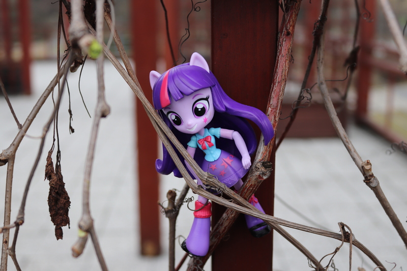 Size: 6000x4000 | Tagged: safe, artist:artofmagicpoland, derpibooru import, twilight sparkle, twilight sparkle (alicorn), alicorn, equestria girls, doll, equestria girls minis, eqventures of the minis, irl, photo, pose, stuck, toy, vine