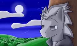 Size: 5000x3000 | Tagged: safe, artist:silver dash, derpibooru import, oc, oc:silver dash, unofficial characters only, pegasus, pony, bust, clothes, cloud, face, forest, hoodie, moon, night, sad, tree