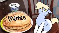 Size: 1280x720 | Tagged: safe, artist:/d/non, derpibooru import, oc, oc:nootaz, ponified, pony, unicorn, kot blini, looking at you, meme, ponified animal photo, sour cream