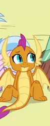 Size: 216x544 | Tagged: classical hippogriff, cropped, derpibooru import, dragon, dragoness, female, hippogriff, safe, school daze, screencap, silverstream, smolder, solo focus, spreading, spread legs, yona