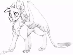 Size: 729x555 | Tagged: safe, artist:evergreen-gemdust, derpibooru import, gallus, gryphon, school daze, grayscale, male, monochrome, solo, tongue out, traditional art