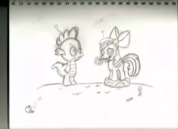 Size: 900x654 | Tagged: artist needed, source needed, safe, derpibooru import, apple bloom, spike, dragon, pony, basket, black and white, blushing, card, cute, female, filly, flower, grass, grayscale, heart, love, male, missing cutie mark, monochrome, notebook, oblivious, question mark, romantic, shipping, spikebloom, straight, traditional art