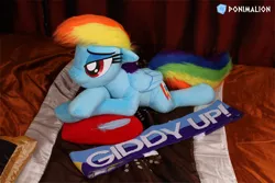 Size: 2160x1440 | Tagged: safe, artist:ponimalion, derpibooru import, rainbow dash, pegasus, pony, 4chan cup scarf, bedroom eyes, clothes, feather, female, folded wings, giddy up, heart, heart pillow, irl, laying on bed, life size, lying, mare, photo, pillow, plushie, scarf, solo