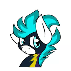 Size: 1024x1024 | Tagged: safe, artist:northwindsmlp, derpibooru import, oc, oc:north winds, pony, bust, clothes, costume, male, portrait, shadowbolts costume, simple background, solo, stallion, white background