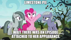 Size: 888x499 | Tagged: safe, derpibooru import, edit, edited screencap, screencap, limestone pie, marble pie, pinkie pie, earth pony, pony, the maud couple, female, image macro, meme, pie sisters, siblings, sisters, trio