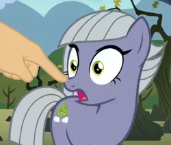 Size: 802x676 | Tagged: safe, derpibooru import, edit, screencap, limestone pie, earth pony, pony, the maud couple, boop, boop edit, discovery family logo, female, mare, surprised
