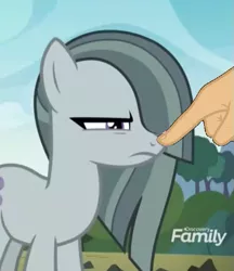 Size: 521x603 | Tagged: boop, boop edit, cute, derpibooru import, edit, edited screencap, finger, hand, marble pie, marble pie is not amused, non-consensual booping, safe, screencap, the maud couple