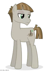 Size: 4048x6000 | Tagged: safe, artist:suramii, derpibooru import, mudbriar, earth pony, pony, the maud couple, absurd resolution, lidded eyes, male, simple background, solo, stallion, transparent background, vector