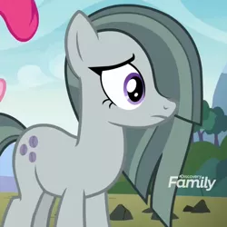 Size: 484x484 | Tagged: safe, derpibooru import, screencap, marble pie, earth pony, pony, the maud couple, cropped, discovery family logo, female, mare, solo focus