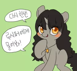 Size: 657x599 | Tagged: safe, artist:shusu, derpibooru import, oc, unofficial characters only, pony, unicorn, jewelry, korean, necklace, smiling