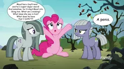 Size: 1920x1080 | Tagged: suggestive, derpibooru import, edit, edited screencap, editor:wild stallions, screencap, limestone pie, marble pie, pinkie pie, earth pony, pony, the maud couple, brutal honesty, captain obvious, dialogue, female, frown, implied maud pie, lidded eyes, mare, open mouth, penis joke, pie sisters, reality ensues, rock farm, siblings, sisters, sitting, speech bubble, tree, trio, trio female, well you're not technically wrong