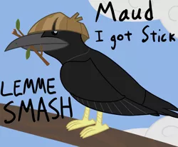 Size: 2000x1648 | Tagged: artist:nitei, bird, bitches love sticks, crow, derpibooru import, lemme smash, meme, mudbriar, safe, solo, species swap, stick, the maud couple