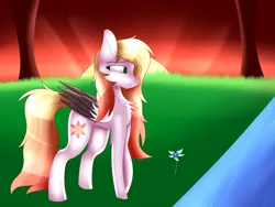Size: 4000x3000 | Tagged: safe, artist:tomboygirl45, derpibooru import, oc, oc:ember, pegasus, pony, female, flower, mare, solo, two toned wings