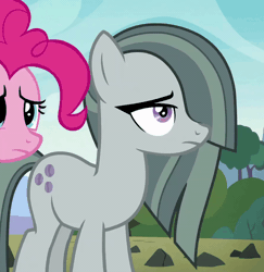 Size: 800x823 | Tagged: safe, derpibooru import, screencap, marble pie, pinkie pie, earth pony, pony, the maud couple, angry, animated, badass, cute, female, frown, gif, glare, madorable, marble pie is not amused, marblebetes, mare, solo focus