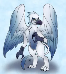 Size: 2460x2728 | Tagged: safe, artist:dimvitrarius, derpibooru import, oc, oc:ghislain, unofficial characters only, gryphon, beak, chest fluff, claws, colored wings, commission, gradient, gradient background, gradient wings, griffon oc, male, scar, simple background, solo, spread wings, standing, wings