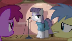 Size: 1920x1080 | Tagged: safe, derpibooru import, screencap, berry punch, berryshine, goldengrape, maud pie, sir colton vines iii, earth pony, pony, the maud couple, background pony, female, male, mare, microphone, spotlight, stallion, stand-up comedy