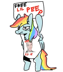 Size: 571x656 | Tagged: safe, artist:nobody, derpibooru import, rainbow dash, pegasus, pony, 1000 hours in ms paint, 4chan, april fools 2018, crying, female, mare, protest, sign, simple background, solo, white background