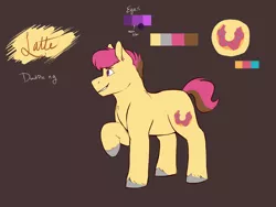 Size: 1600x1200 | Tagged: safe, artist:sapphireshy, derpibooru import, oc, oc:latte punch, unofficial characters only, earth pony, pony, brown background, male, offspring, parent:donut joe, parent:pinkie pie, parents:pinkiejoe, reference sheet, simple background, solo, stallion, unshorn fetlocks