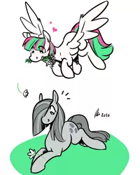 Size: 1200x1500 | Tagged: safe, artist:rwl, derpibooru import, blossomforth, marble pie, pegasus, pony, female, flower, flower in mouth, heart, lesbian, marbleforth, mouth hold, shipping