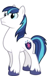 Size: 2204x3542 | Tagged: safe, artist:parclytaxel, derpibooru import, edit, editor:slayerbvc, vector edit, shining armor, earth pony, pony, derp, earth pony shining armor, male, race swap, simple background, solo, stallion, transparent background, vector