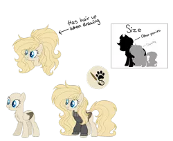 Size: 1024x835 | Tagged: safe, artist:mintoria, derpibooru import, oc, oc:dusty, pegasus, pony, clothes, female, mare, reference sheet, simple background, solo, sweater, transparent background