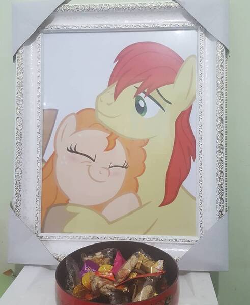 Size: 785x960 | Tagged: bright mac, derpibooru import, irl, pear butter, photo, safe