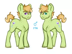 Size: 4000x3000 | Tagged: safe, artist:terathetrex, derpibooru import, oc, unofficial characters only, earth pony, pony, heterochromia, magical gay spawn, male, offspring, parent:big macintosh, parent:zephyr breeze, parents:zephyrmac, solo, stallion, trans boy, transgender