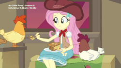 Size: 450x253 | Tagged: safe, derpibooru import, screencap, fluttershy, chicken, equestria girls, equestria girls series, five to nine, animal, animated, blouse, clothes, cowboy hat, cowgirl, cute, feeding, hat, shirt, shyabetes, sitting, skirt, smiling, stetson, vest