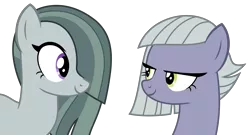 Size: 5534x2991 | Tagged: artist:sketchmcreations, derpibooru import, female, limestone pie, looking at each other, marble pie, safe, simple background, sisters, smiling, the maud couple, transparent background, vector