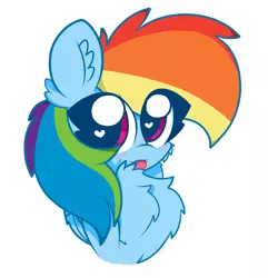 Size: 1976x2048 | Tagged: safe, artist:kittyrosie, derpibooru import, rainbow dash, pegasus, pony, blush sticker, blushing, chest fluff, cute, dashabetes, ear fluff, female, fluffy, heart eyes, looking at you, mare, simple background, solo, tongue out, white background, wingding eyes