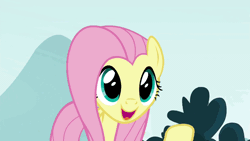 Size: 902x508 | Tagged: safe, derpibooru import, edit, edited screencap, editor:zeppo, screencap, fluttershy, pegasus, pony, school daze, animated, cute, exploitable, female, fluttershy throwing things, grin, mare, open mouth, shyabetes, smiling, solo, talking, template, throwing