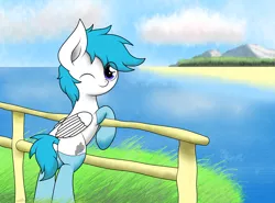 Size: 2348x1736 | Tagged: safe, artist:kimjoman, derpibooru import, oc, oc:snowystratos, unofficial characters only, pegasus, pony, beach, clothes, cloud, commission, cute, fence, grass, looking at you, looking back, male, mountain, ocean, one eye closed, outdoor, seascape, socks, solo, wink