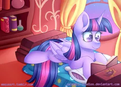 Size: 1023x731 | Tagged: safe, artist:calamity-studios, derpibooru import, twilight sparkle, twilight sparkle (alicorn), alicorn, pony, bed, bedroom, book, bookcase, cutie mark, female, golden oaks library, lying down, mare, pillow, reading, solo, stars, twilight (astronomy), window