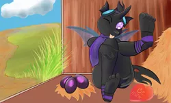 Size: 2500x1500 | Tagged: suggestive, artist:twilightwolf91, derpibooru import, oc, oc:neo miley, unofficial characters only, anthro, changeling, plantigrade anthro, adorasexy, changeling egg, changeling oc, clothes, cute, egg, feet, goggles, grass, hay bale, heart, holiday, purple changeling, scarf, sexy, socks, tongue out, valentine's day