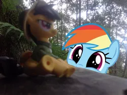 Size: 1024x765 | Tagged: safe, artist:didgereethebrony, derpibooru import, daring do, rainbow dash, bench, blue mountains, cute, dashabetes, fangirl, figure, figurine, happy, irl, katoomba, mlp in australia, obsessed, obsession, photo, photobomb, ponies around the world, ponies in real life, smiling, squee, toy
