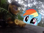 Size: 1024x765 | Tagged: safe, artist:didgereethebrony, derpibooru import, daring do, rainbow dash, bench, blue mountains, cute, dashabetes, fangirl, figure, figurine, happy, irl, katoomba, mlp in australia, obsessed, obsession, photo, photobomb, ponies around the world, ponies in real life, smiling, squee, toy