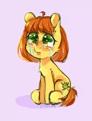 Size: 3800x5000 | Tagged: safe, artist:crystalfilth, derpibooru import, oc, oc:honey tea, unofficial characters only, earth pony, pony, crying, cute, female, mare, sadorable, simple background, sitting, sketch, solo, teary eyes