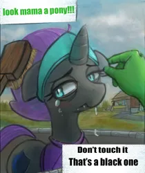 Size: 650x772 | Tagged: abuse, alicorn, altbrony, artist:nignogs, brush, brushie, caption, crying, cute, derpibooru import, dialogue, drawthread, drool, first person view, hand, horn, missing accessory, /mlp/, mlpol, nyxabuse, oc, oc:anon, oc:nyx, offscreen character, petting, pov, racism, request, safe, solo, zoo