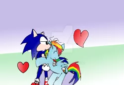 Size: 900x617 | Tagged: artist:soni8888, background pony strikes again, crossover, derpibooru import, dude not funny, female, heart, interspecies, male, rainbow dash, safe, shipping, sonicdash, sonic the hedgehog, sonic the hedgehog (series), straight, watermark