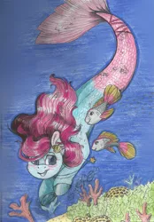 Size: 1155x1655 | Tagged: artist:69beas, derpibooru import, fish, oc, safe, sea pony, traditional art, water