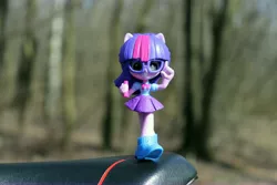 Size: 6000x4000 | Tagged: safe, artist:artofmagicpoland, derpibooru import, sci-twi, twilight sparkle, equestria girls, equestria girls series, cute, doll, equestria girls minis, irl, photo, solo, toy, twiabetes