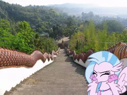 Size: 1000x750 | Tagged: classical hippogriff, cute, derpibooru import, diastreamies, dragon, excited, female, grin, hippogriff, irl, photo, ponies in real life, safe, school daze, silverstream, smiling, solo, squee, stairs, stairs are awesome, that hippogriff sure does love stairs