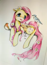 Size: 2304x3204 | Tagged: safe, artist:claire lixi, derpibooru import, fluttershy, bird, blue jay, pegasus, pony, blushing, cute, female, floppy ears, flower, flower in hair, flower in tail, folded wings, looking at something, mare, open mouth, prone, robin, shyabetes, traditional art