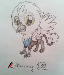 Size: 1045x1220 | Tagged: safe, artist:podkovka, derpibooru import, oc, oc:moonway, unofficial characters only, gryphon, chibi, cute, hawks, solo, traditional art