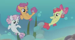 Size: 877x471 | Tagged: apple bloom, bubble, cutie mark crusaders, derpibooru import, rock, safe, scootaloo, screencap, sea-mcs, seaponified, seapony apple bloom, seapony scootaloo, seapony sweetie belle, seaweed, species swap, surf and/or turf, sweetie belle, water