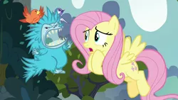 Size: 1280x720 | Tagged: safe, derpibooru import, screencap, constance, fluttershy, bird, pegasus, pony, pukwudgie, school daze, agitated, angry, carrying, cute, female, flight, flying, hero, heroine, mare, sharp teeth, snarling, songbird, teeth, worried