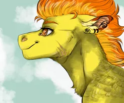 Size: 1024x853 | Tagged: safe, artist:biakela, derpibooru import, spitfire, pony, colored ears, ear piercing, earring, female, jewelry, mare, piercing, profile, scar, smiling, solo, tattoo